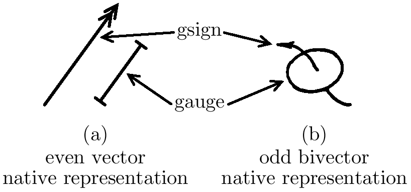 The Geometric Decompositions of an Even Vector and an Odd Bivector in the Native Representation